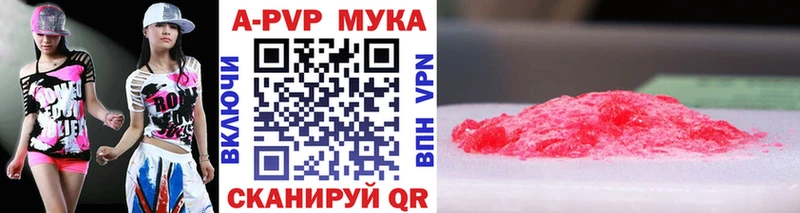 ОМГ ОМГ ТОР  Нововоронеж  Alfa_PVP СК КРИС 