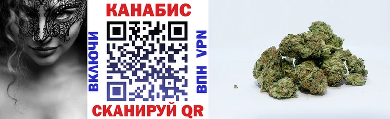 Каннабис OG Kush  Нововоронеж 